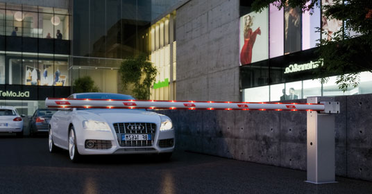 �������� ����