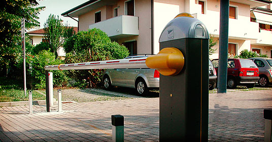 �������� ����